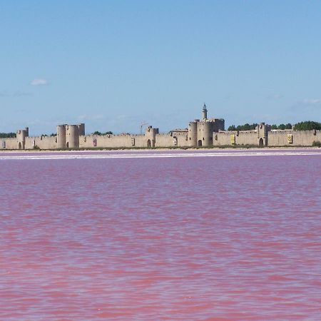 Aigues-Mortes Villa Pres Des Remparts Zewnętrze zdjęcie