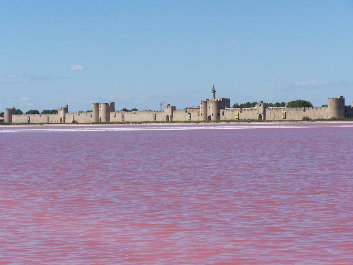 Aigues-Mortes Villa Pres Des Remparts Zewnętrze zdjęcie